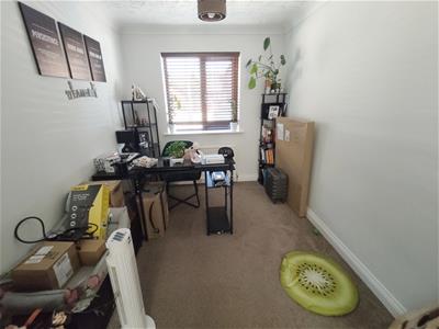 Picture 4